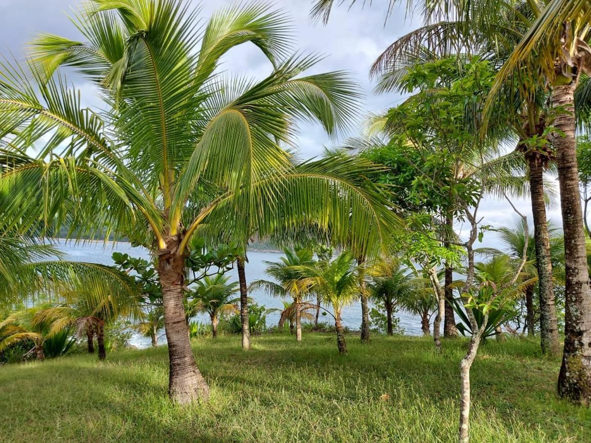 فندق كامبوريفي  Quintal Da Mata المظهر الخارجي الصورة