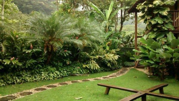 فندق كامبوريفي  Quintal Da Mata المظهر الخارجي الصورة